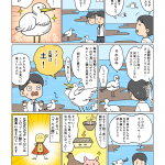 渡り鳥はこの土を食べて元気になった!!